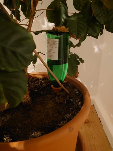 Customer photo review of Topfpflanzenbewässerung „Hydro Wine“ 4 Stk. Tonkegel für Wein- & PET-Flaschen