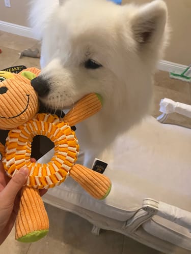 Customer photo review of Wibbleez - Stretch & Squeak