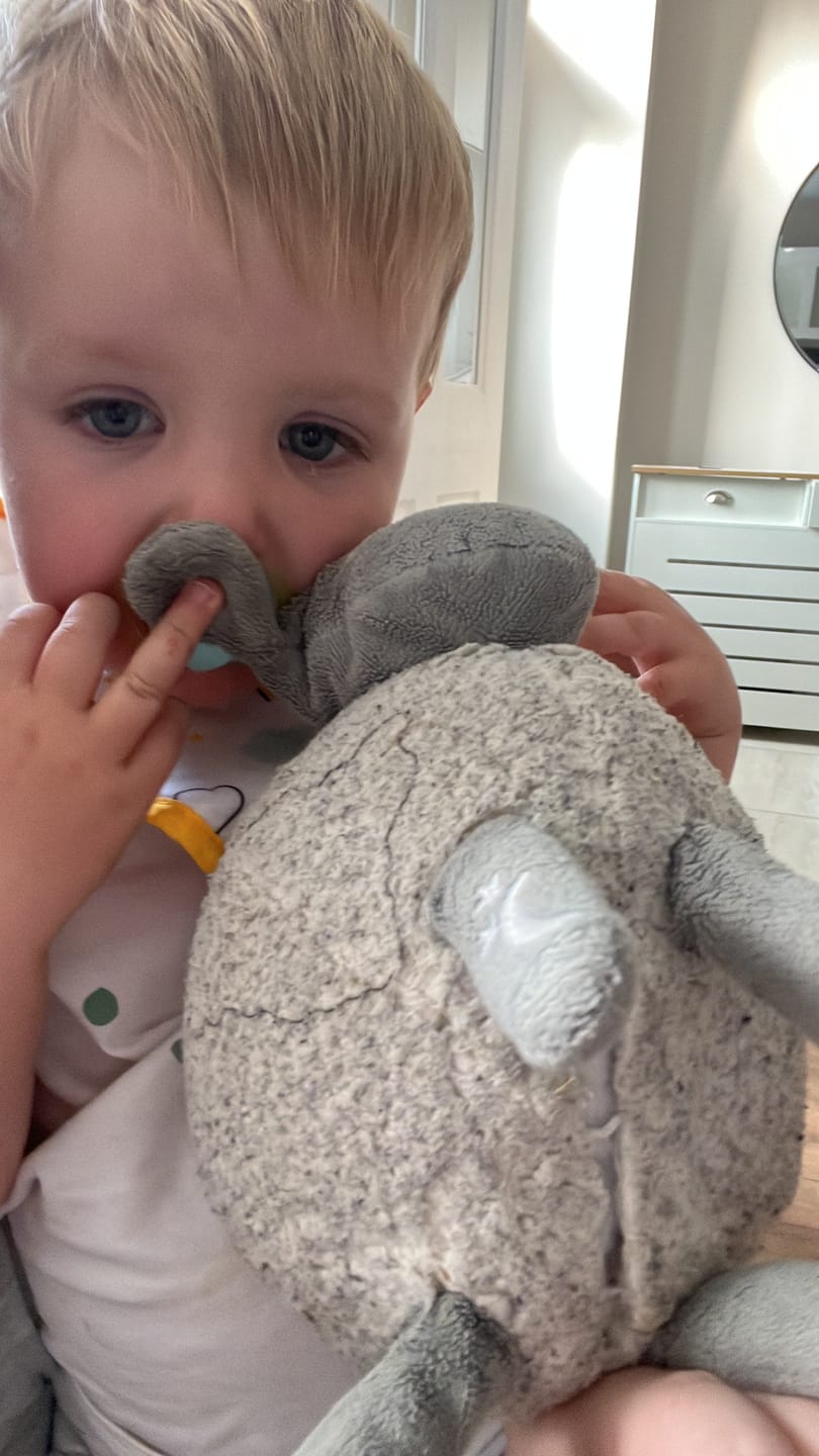 Customer photo review of ewan the dream sheep | baby sleep soother | grey