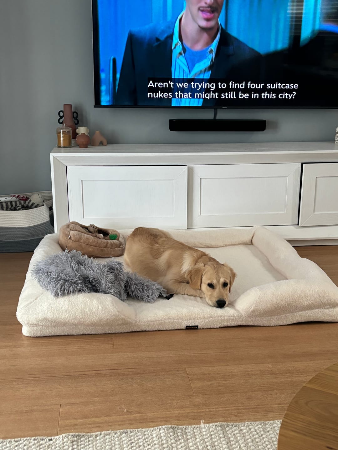 Customer photo review of PaWz Pet Boucle Bed