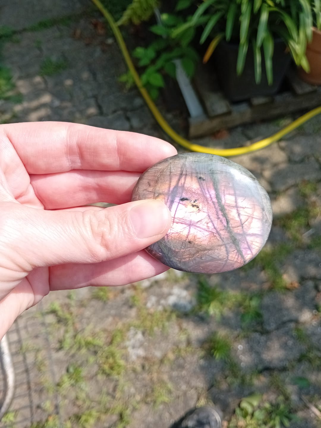 Customer photo review of Galet Labradorite Violette Spectrolite
