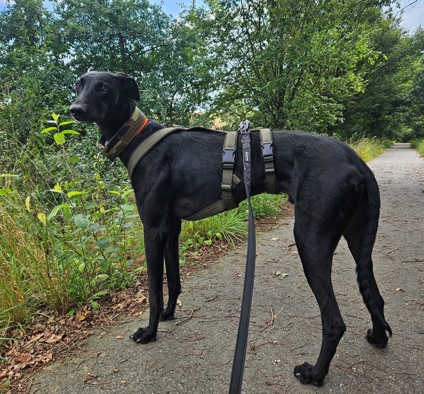 Customer photo review of Sicherheitsgeschirr FUN "Mountain Green"