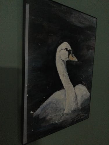 Customer photo review of 12x16 Giclee Fine Art Prints