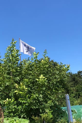 Customer photo review of Fahne inkl. Druck