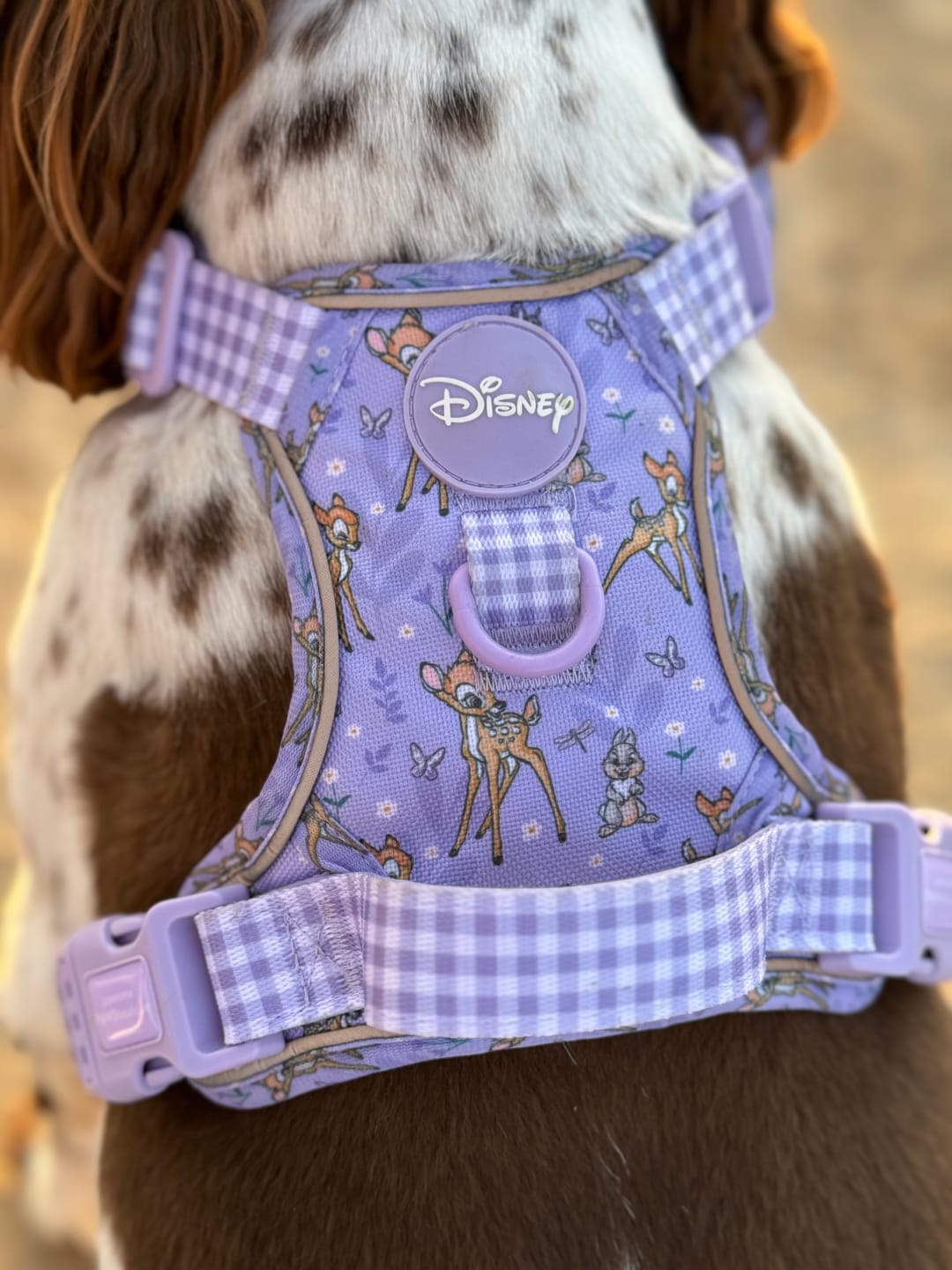 Customer photo review of Disney© Tough Trails™ Harness - Bambi + Friends Lilac