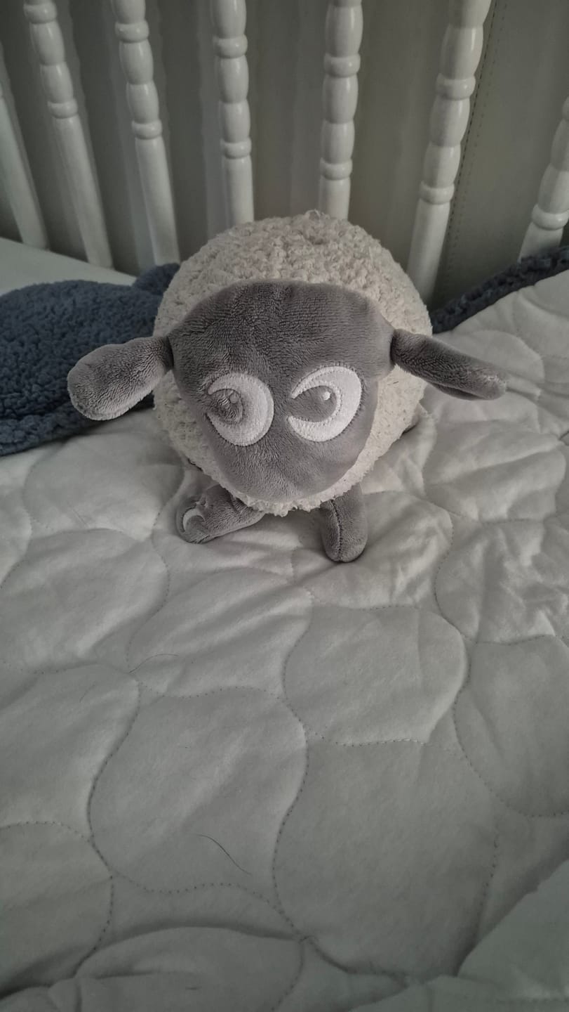 Customer photo review of ewan Deluxe | baby shushing sleep sheep | gray