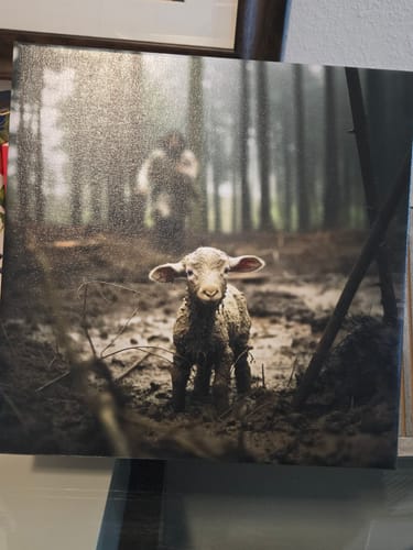 Customer photo review of Gallery Wrapped Prints 12x12