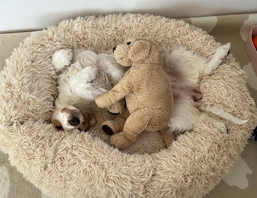 Customer photo review of CalmBed - Motverkar stress & hjälper mot ångest