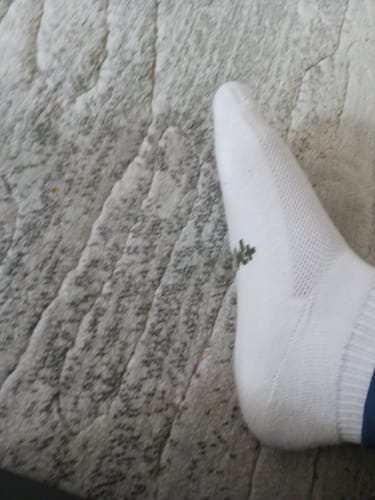 Customer photo review of Unisex Premium Ultra Soft Bamboo Socks, 2 Pairs - US Free-Shipping For Try