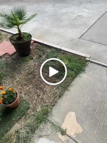 Customer video review of Green Mesh Roll - 90% Shade