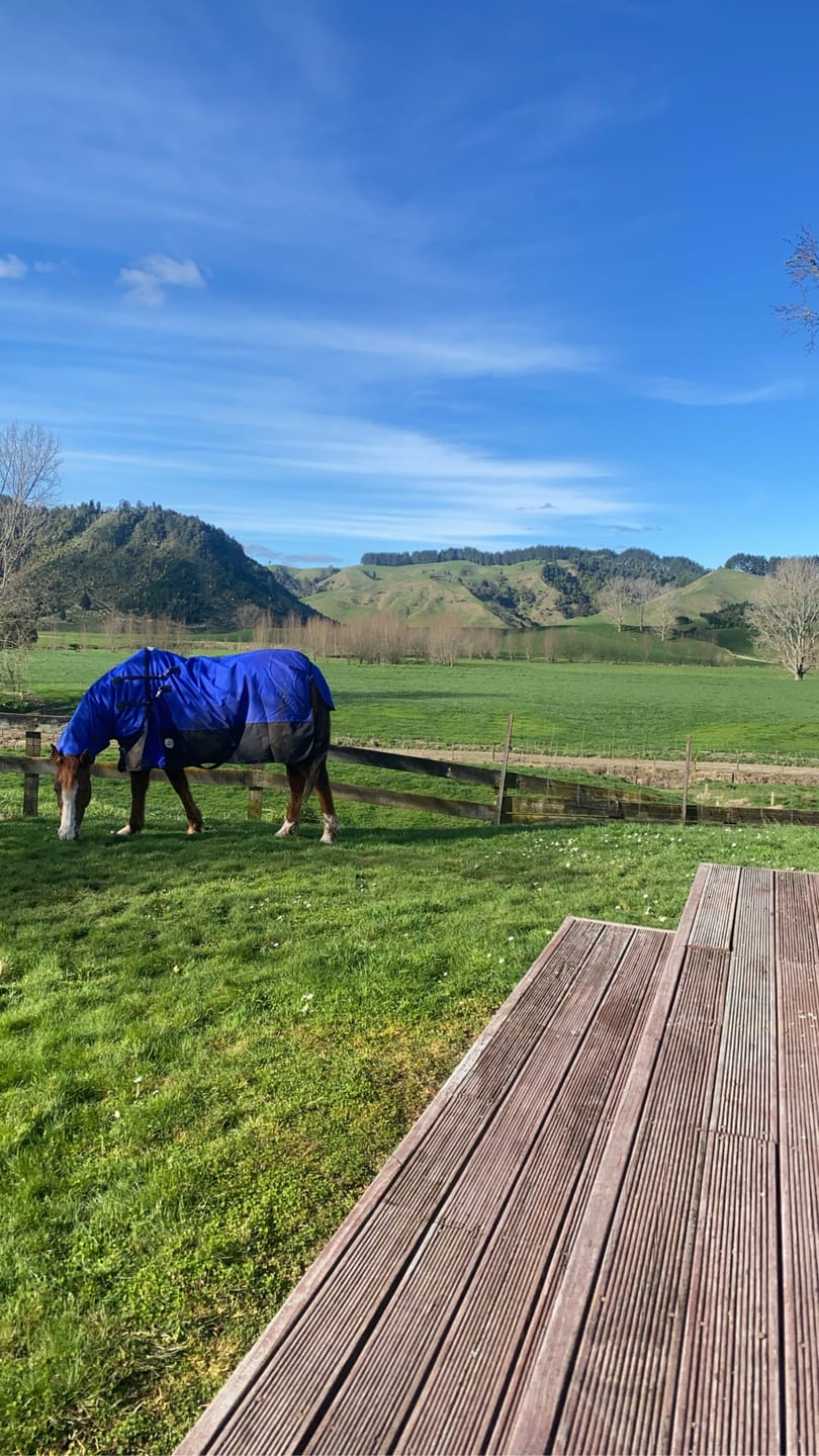 Customer photo review of Duke 1200d Detacha-neck