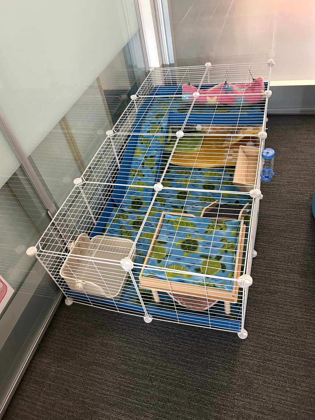 Customer photo review of White 4x2 C&C Cage with Loft & Ramp