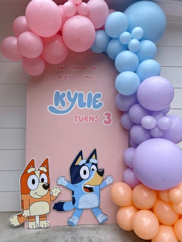 Customer photo review of Create Your Own Color Mix - DIY Balloon Garland Kit