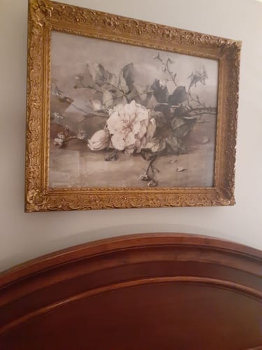 Customer photo review of Giclee Fine Art Prints 16x20