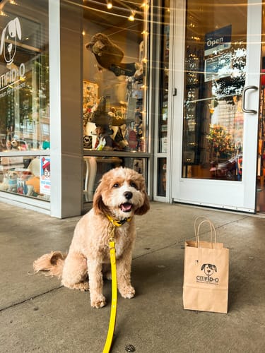 Customer photo review of Adjustable Biothane Quick Release Dog Collar