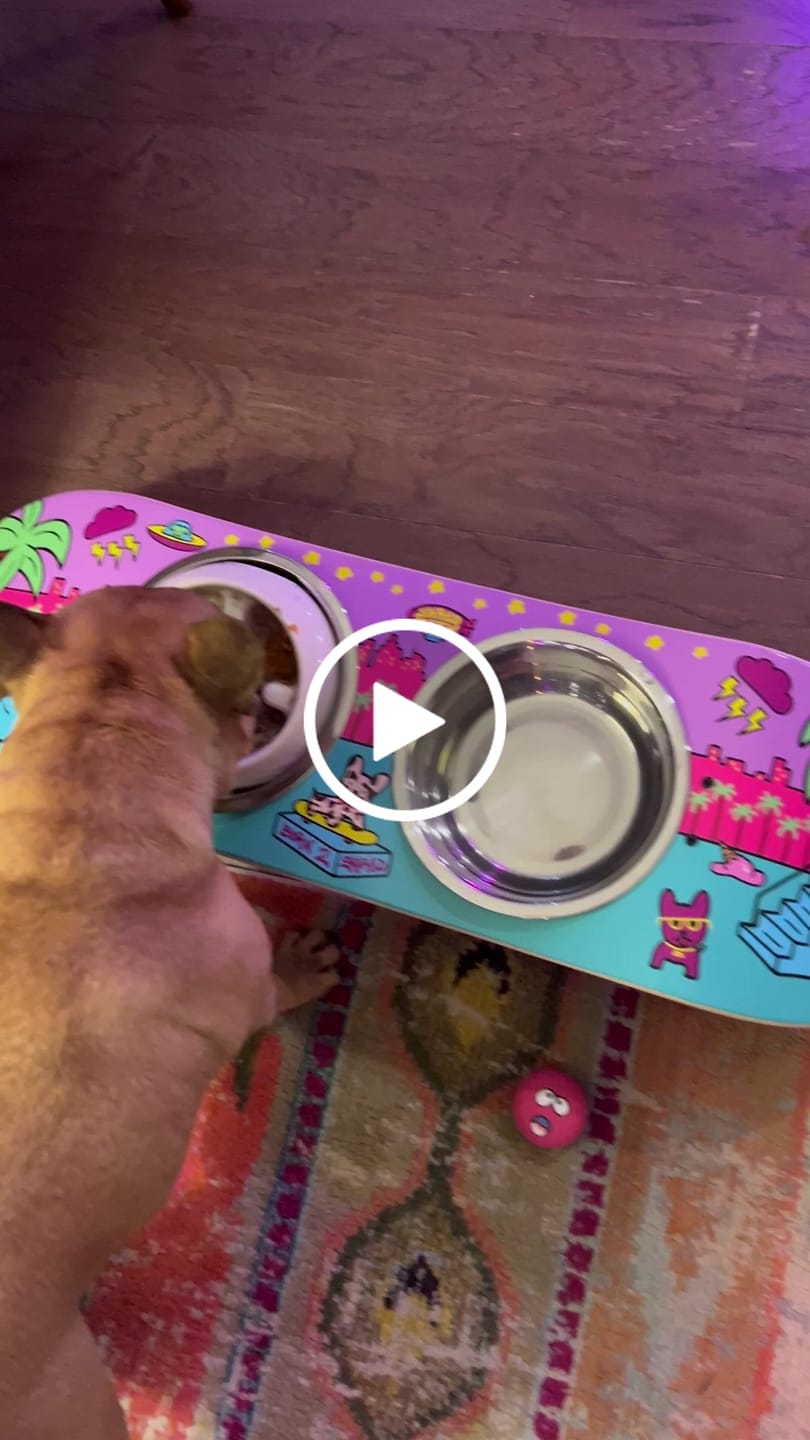 Customer video review of Shred City Skateboard Dog Bowl