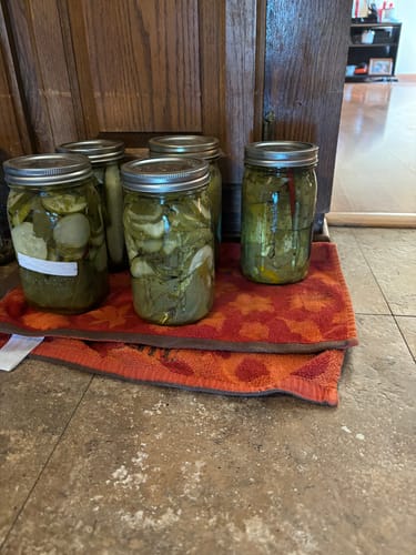 Customer photo review of 60 Pack – Denali® Lids, Wide Mouth