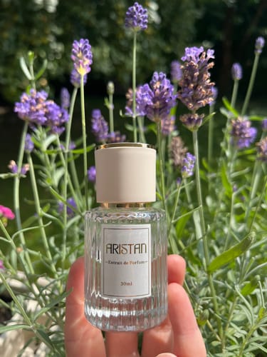 Customer photo review of The Muse