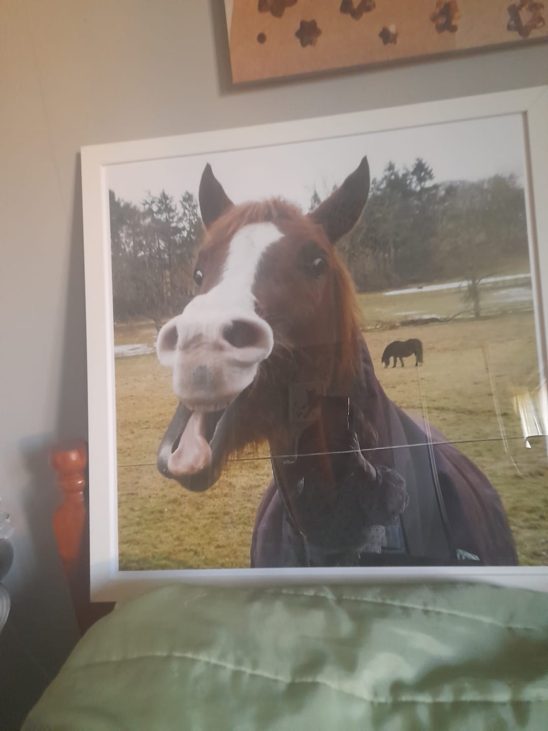 Customer photo review of Square Giclée Art Print