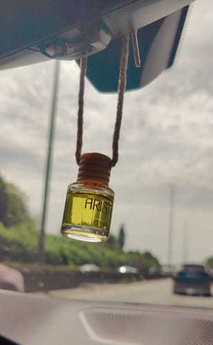 Customer photo review of Paradox