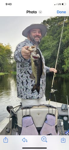 Customer photo review of Headbanger Cranky Shad 2.5"