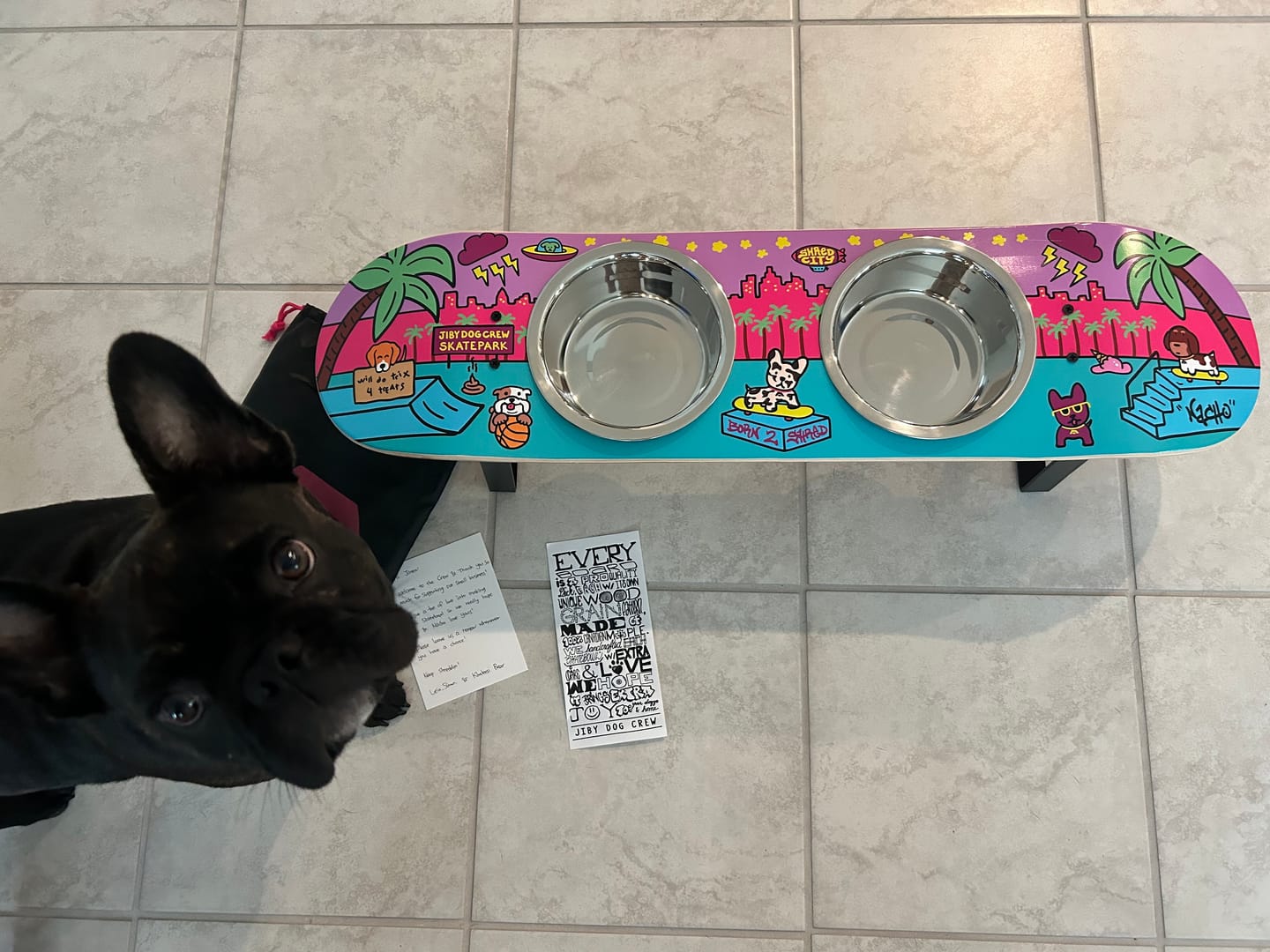 Customer photo review of Shred City Skateboard Dog Bowl