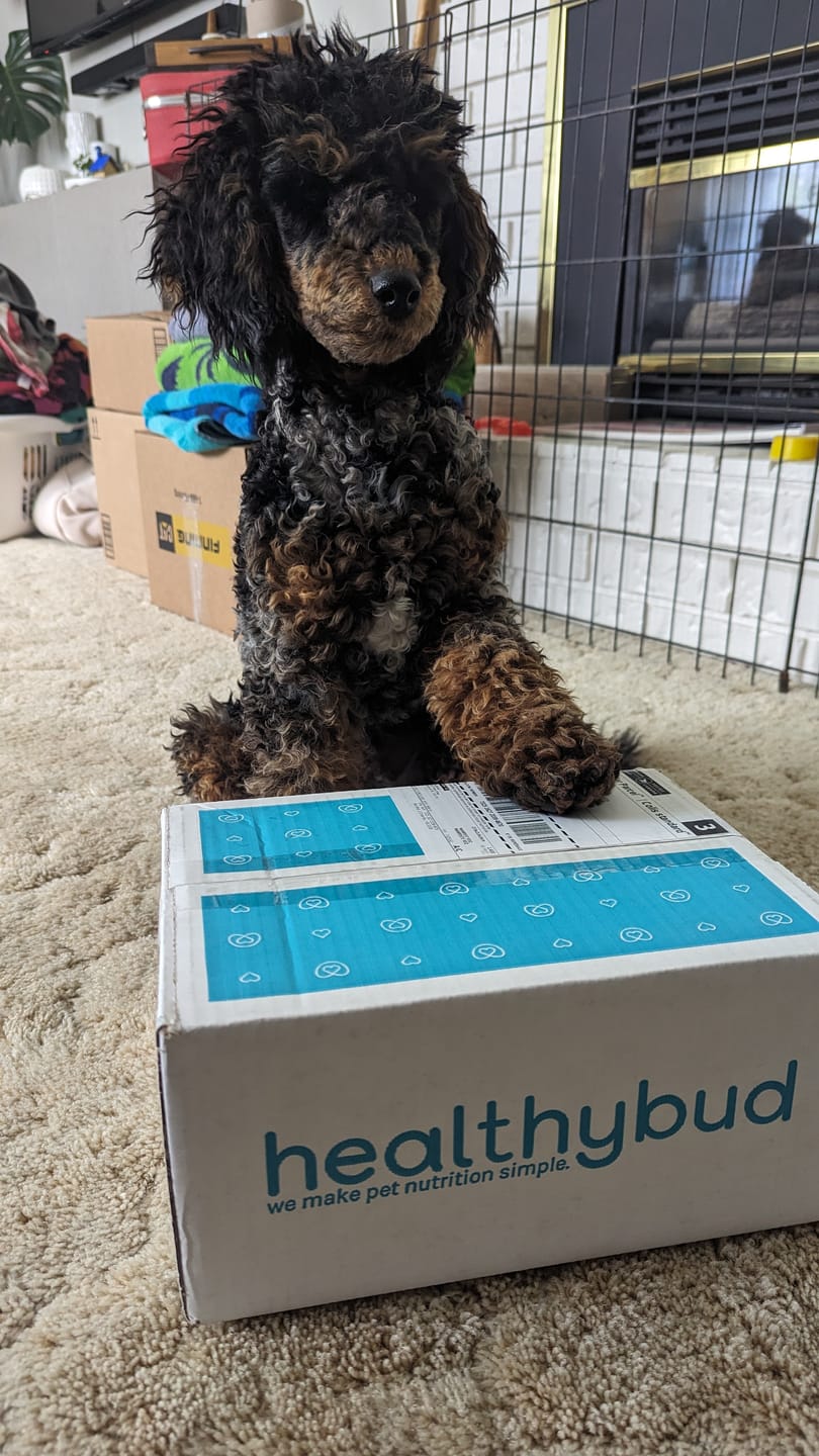 Customer photo review of Beef Lung Wafers