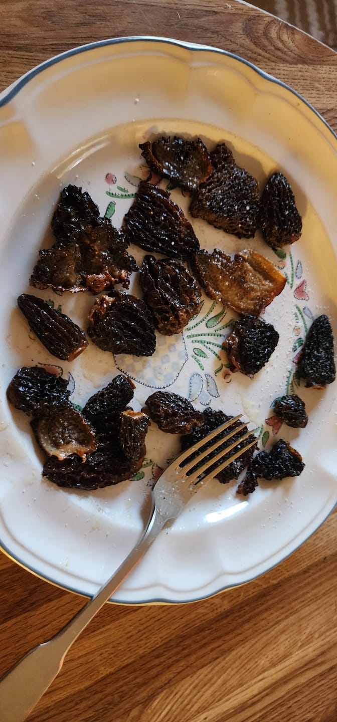 Customer photo review of Baby Morel Mushrooms (60gram/2.2oz)- Premium Petite Grade