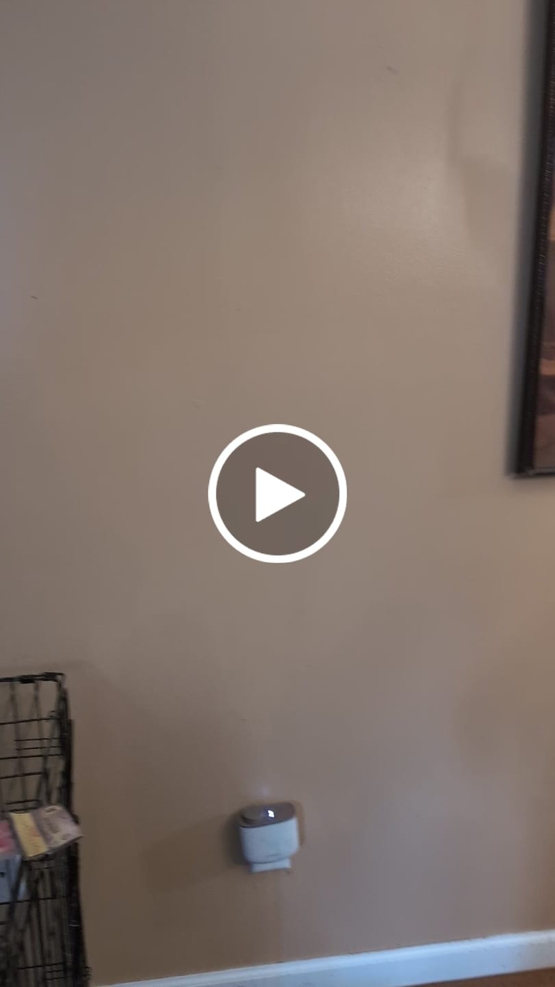 Customer video review of 5 Minute CleanWalls Bundle (CleanWalls Tool, Spray, & Baseboard Duster)