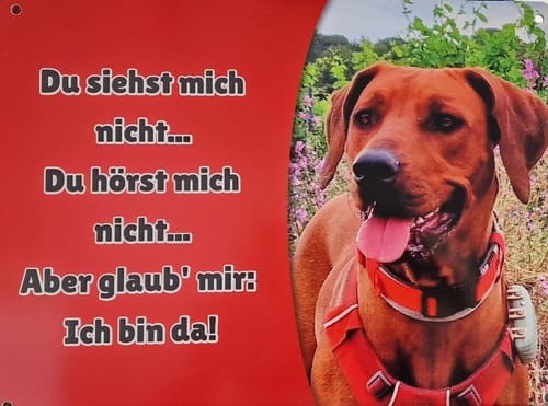 Customer photo review of Hunde-Türschild personalisiert mit Foto & Text (UV- und wetterfest)
