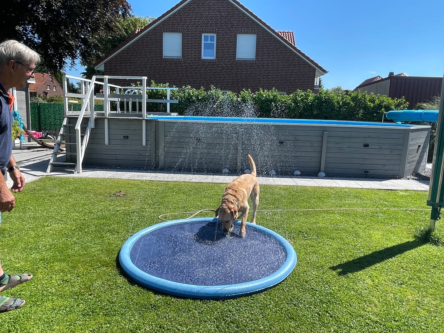 Customer photo review of Sprinkler Wasserspielmatte für Hunde
