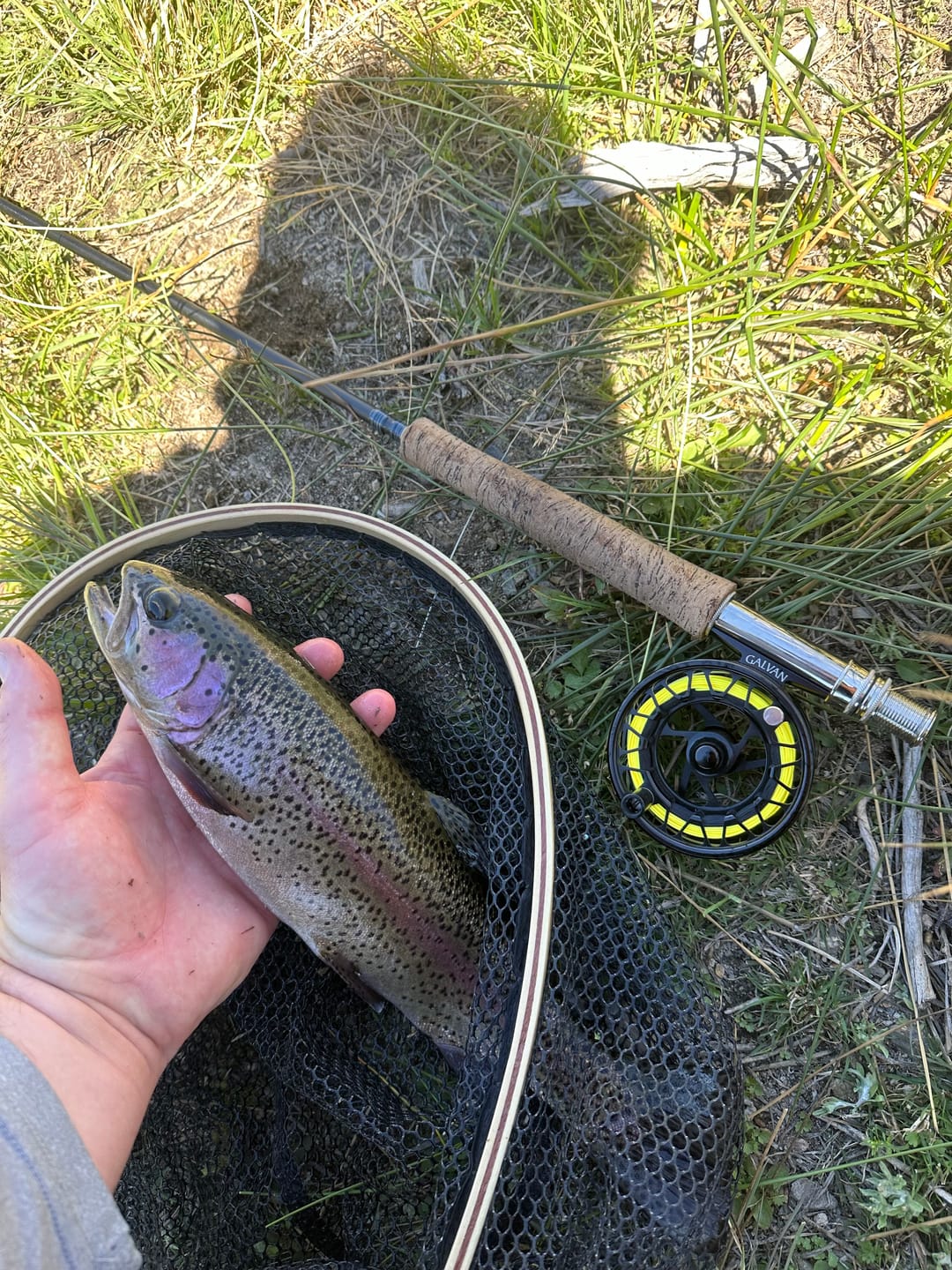 Customer photo review of Galvan Brookie Fly Reel