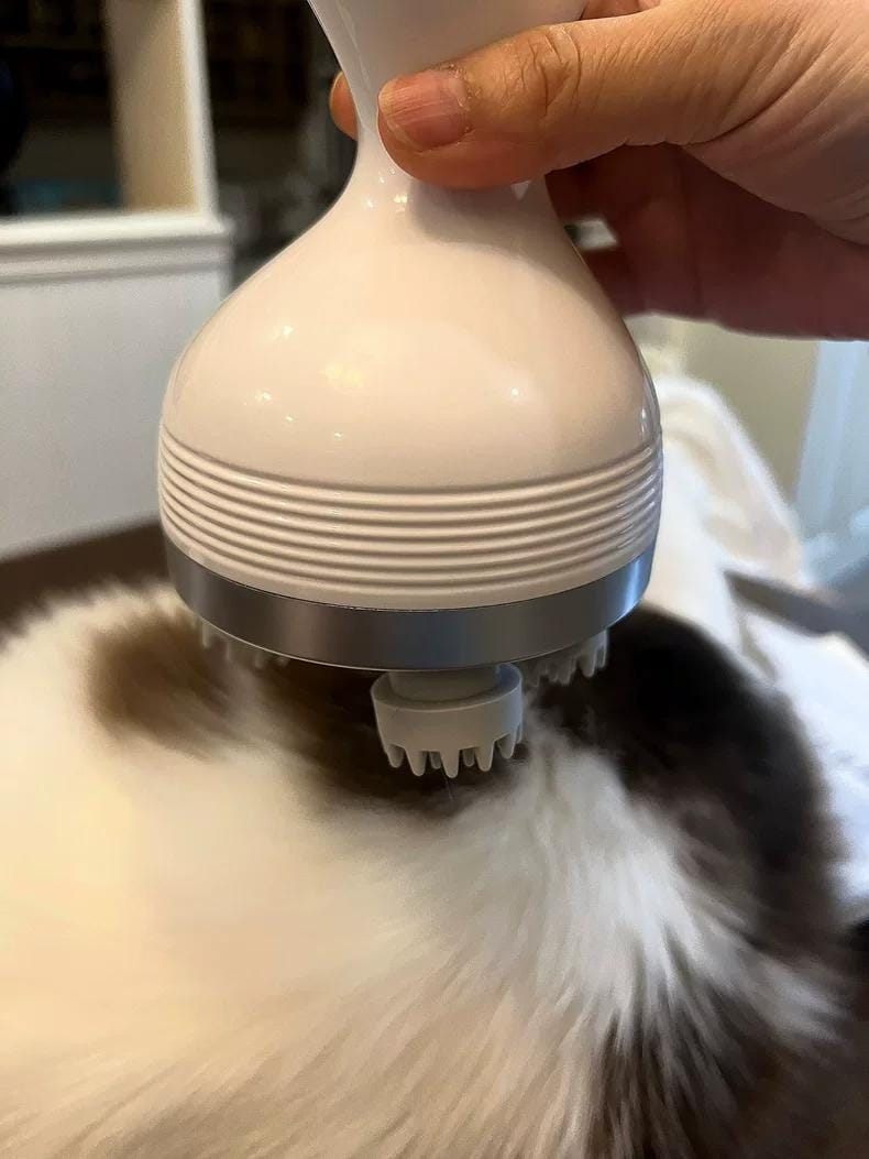Customer photo review of Viva Comfort Scalp & Body Massager for Pets