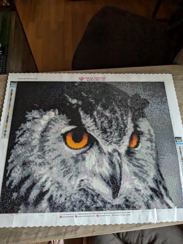 Customer photo review of 5D Diamond Painting Eule der Nacht