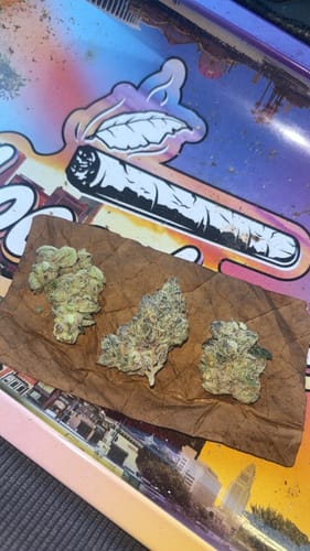 Customer photo review of Amber Dream LooseLeaf 2-Pack Wraps (40 Count)