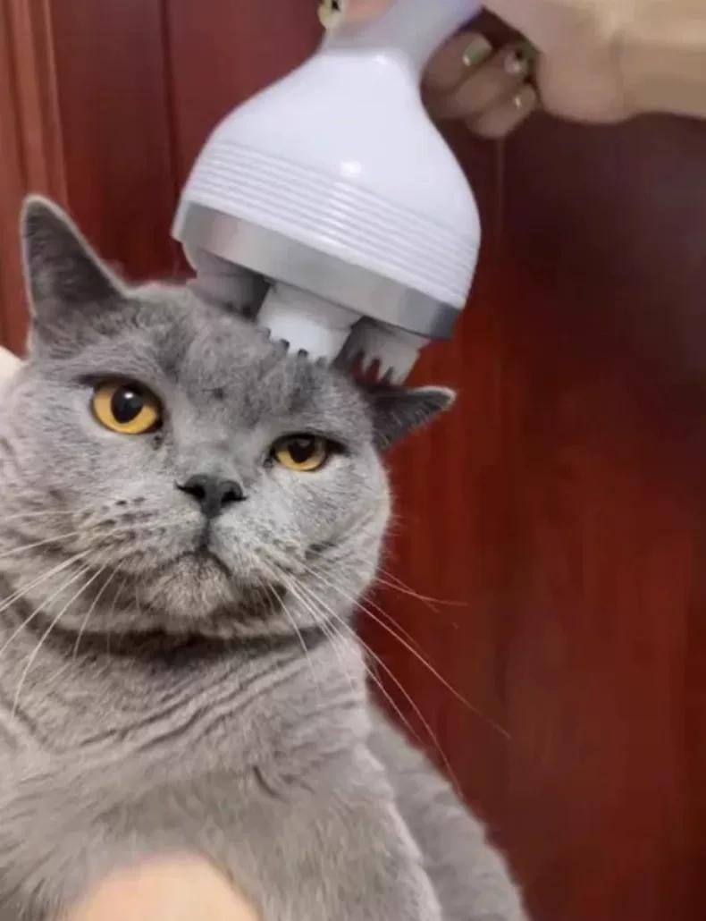 Customer photo review of Viva Comfort Scalp & Body Massager for Pets