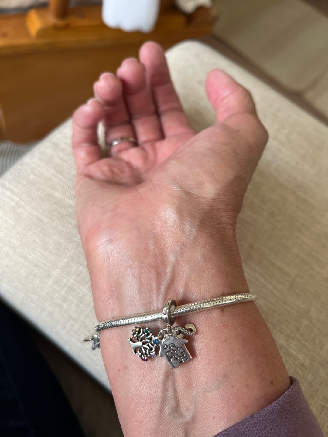 Customer photo review of Charm Casa, Arbol & Infinito "Forever Family"