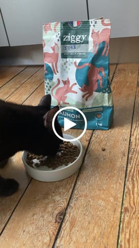 Avis vidéo d'un client sur Croquettes Chat Stérilisé Sans Céréales - Saumon