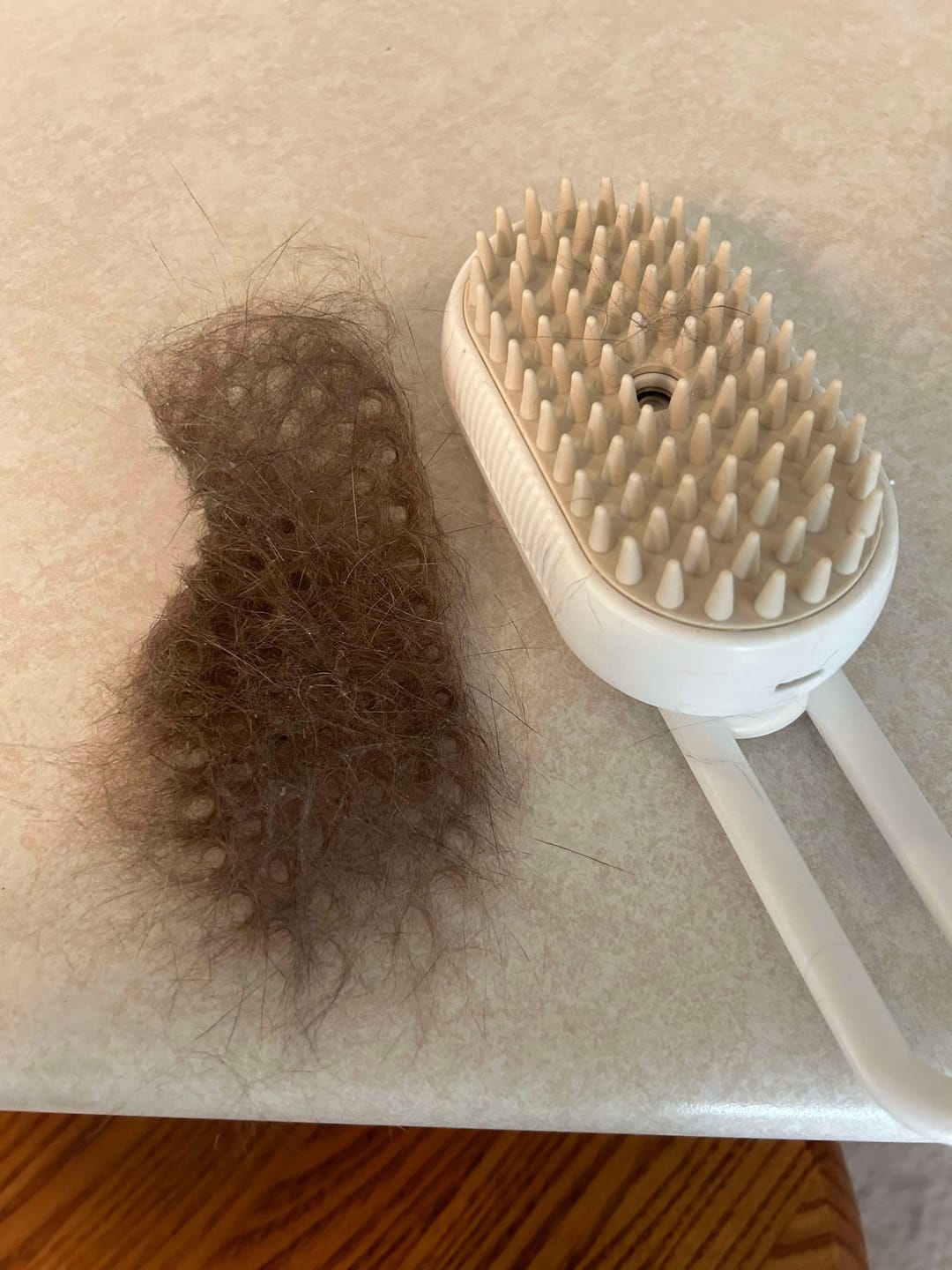 Customer photo review of CLOUD CARE BRUSH