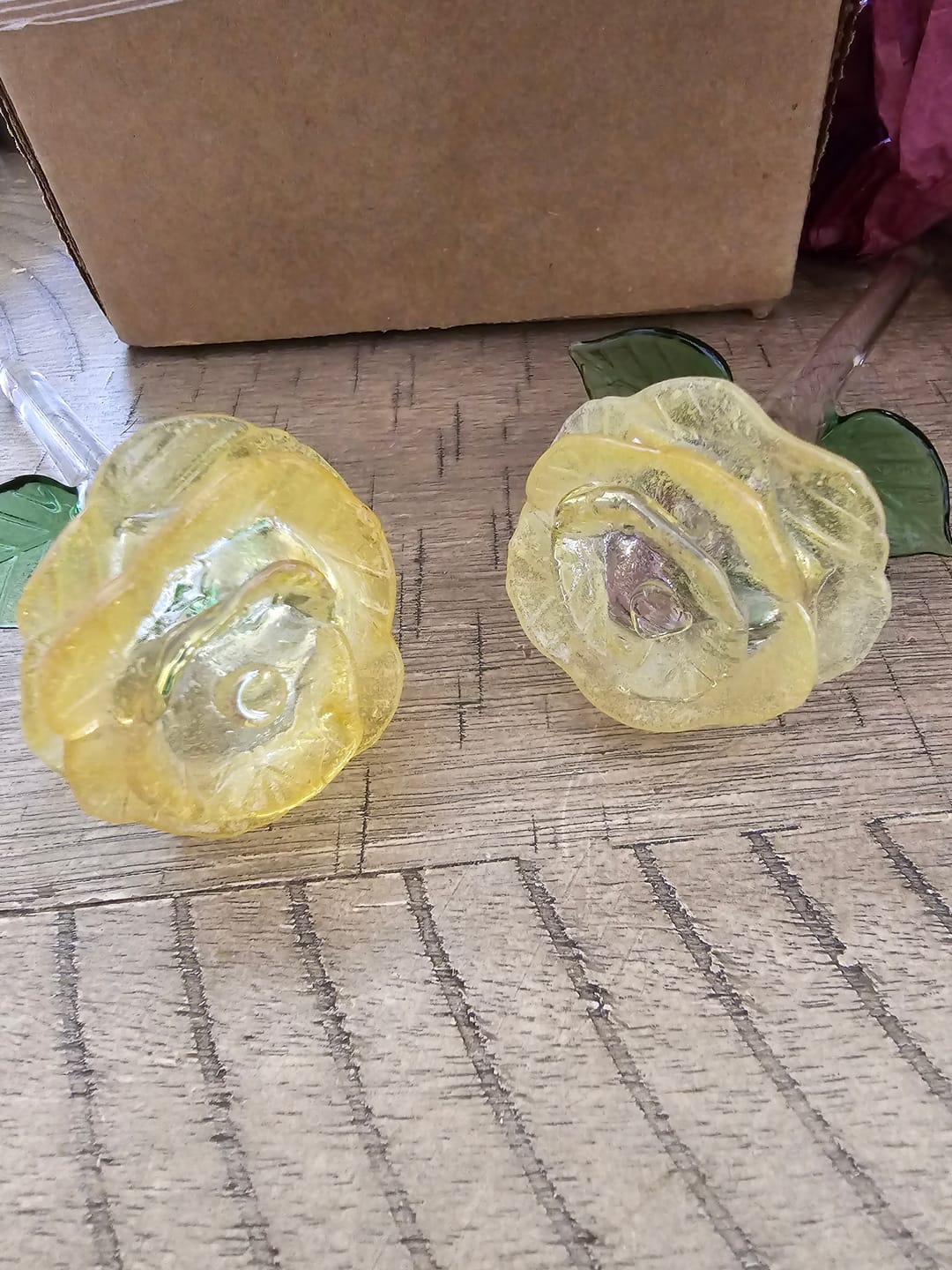 Customer photo review of Glass Roses by Dan