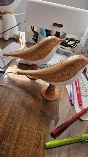 Customer photo review of BirdZen - Lampe de Chevet