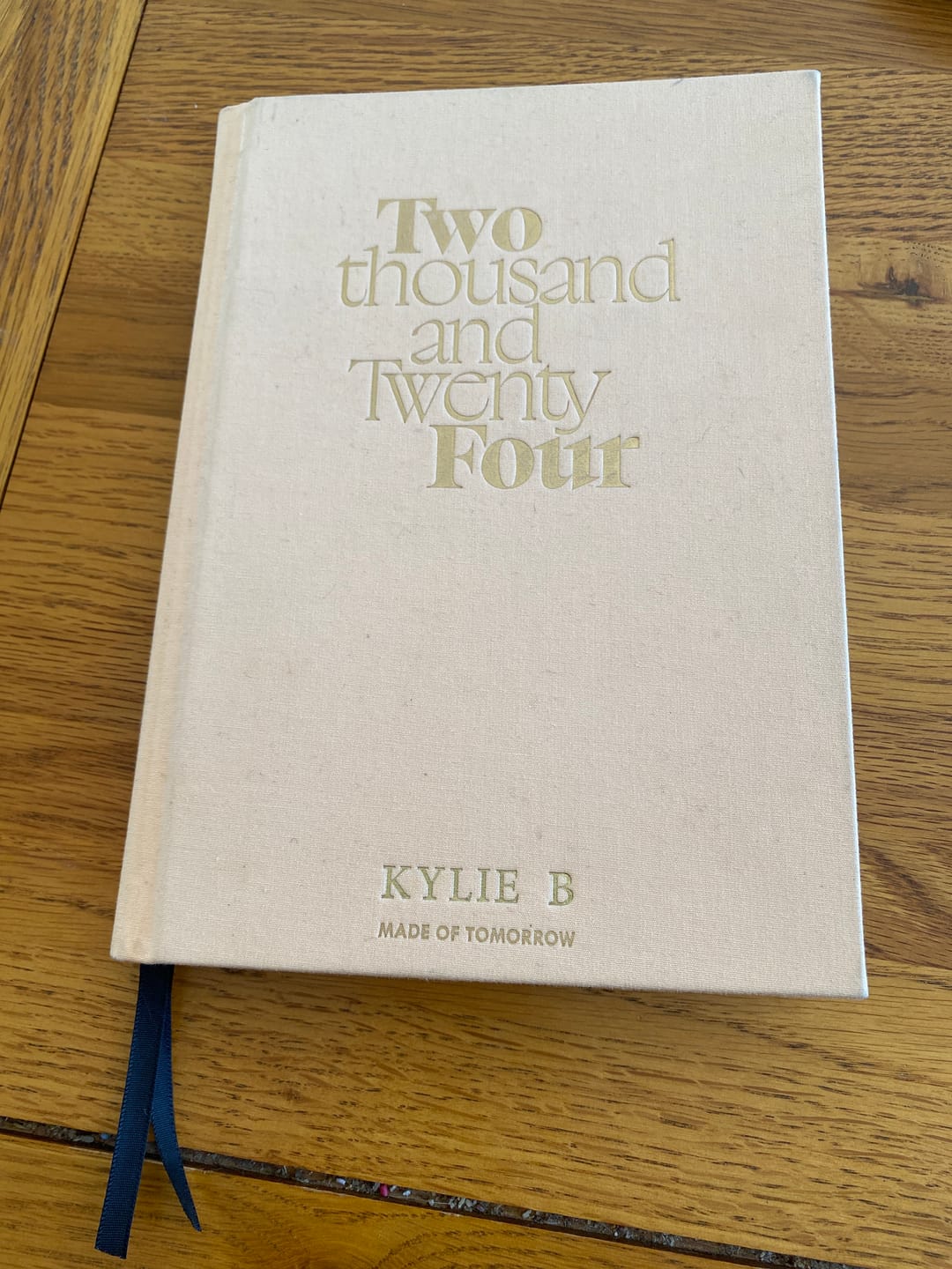 Customer photo review of 2025 Daily Diary