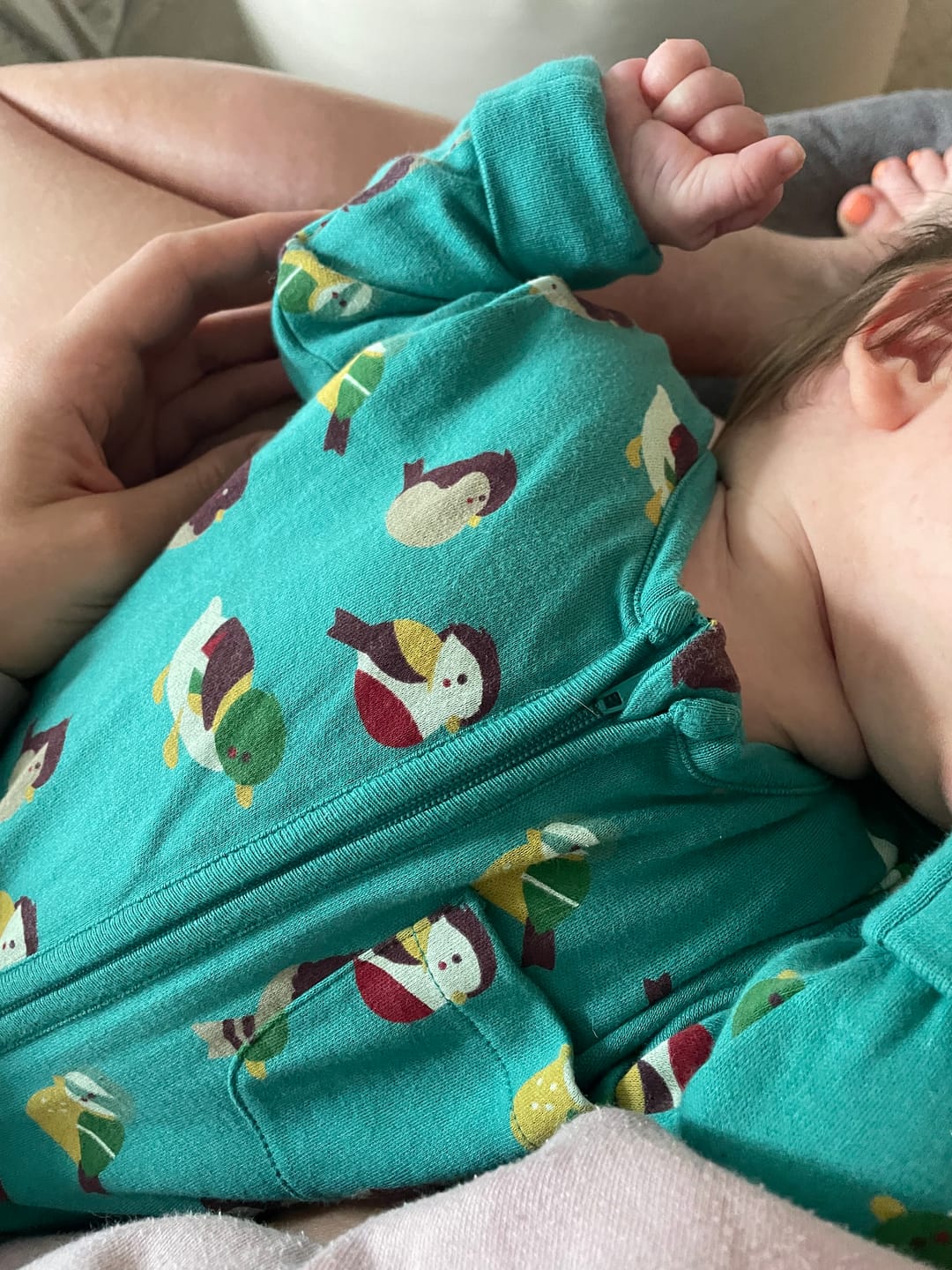 Customer photo review of Garden Birds Organic Zip Babygrow