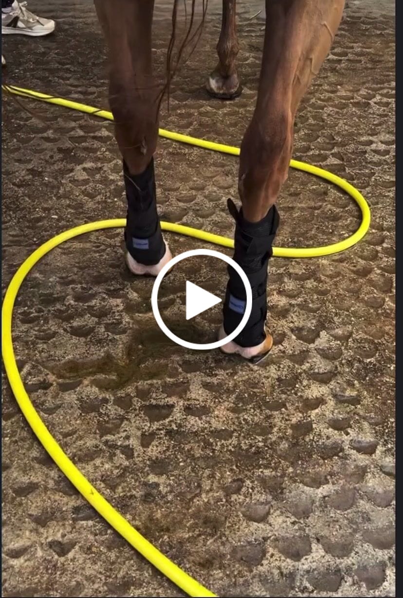 Customer video review of Luxury Neck Cooling Cover
