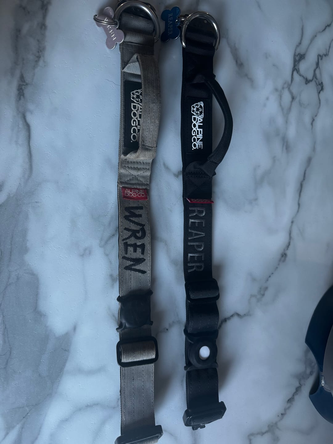 Customer photo review of 1.5" Tacti Slim Dog Collar- Black