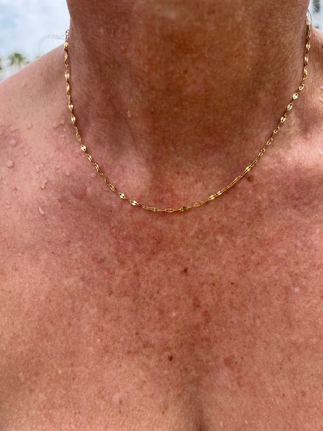 Customer photo review of Dainty Necklace