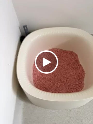 Customer video review of Michu Tofu Cat Litter Gen3 - Dust-Free and Natural Clumping Tofu-Based Formula - Value Box 5 kg