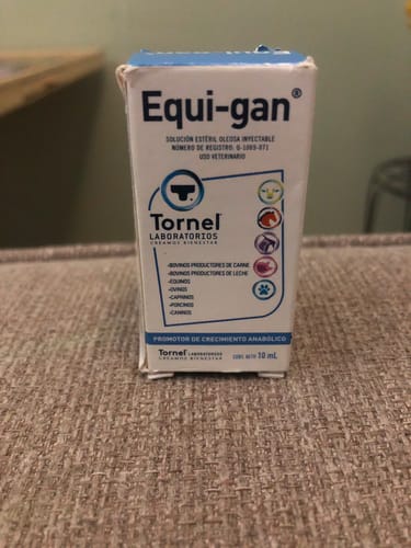 Customer photo review of Equi-gan