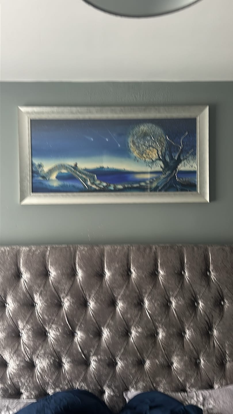 Customer photo review of Over The Moon By Catherine Stephenson *BEST SELLER*