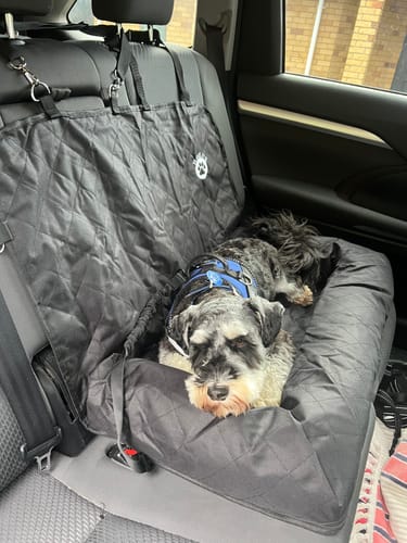 Customer photo review of Car Seat Cover